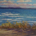 Dune Grass, Outlet Beach.