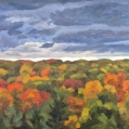 Bright Hill and Dark Clouds, 28" x 29" , $1000