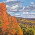 Hilltop Maples, 24" x 36", $1100