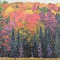 Full Colour, 32" x 40", $1700