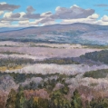 Sombre Valley, 30" x 40", $1700